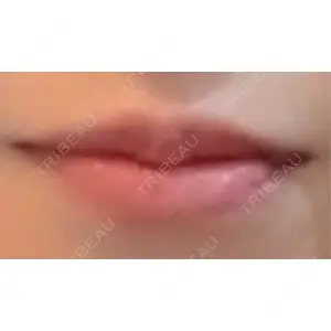 口コミ