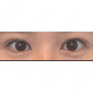 口コミ
