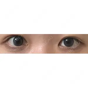 口コミ