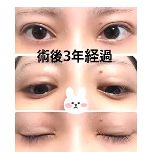 口コミ