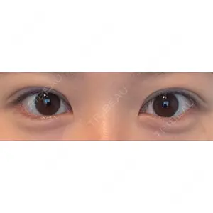 口コミ