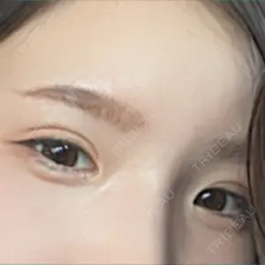 口コミ