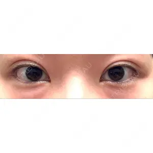 口コミ