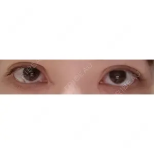 口コミ
