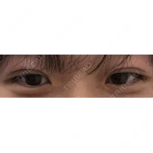 口コミ