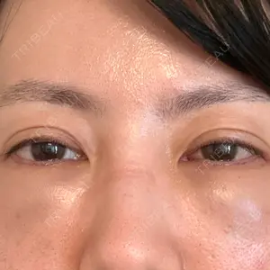 口コミ