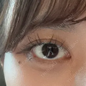 口コミ
