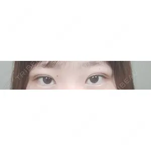 口コミ