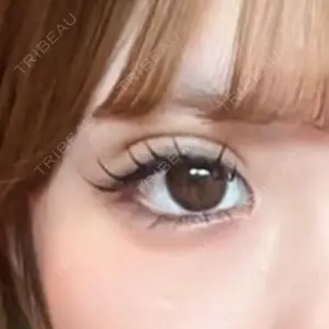 口コミ