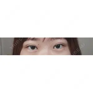 口コミ
