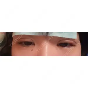 口コミ