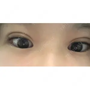 口コミ