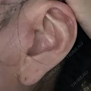 口コミ