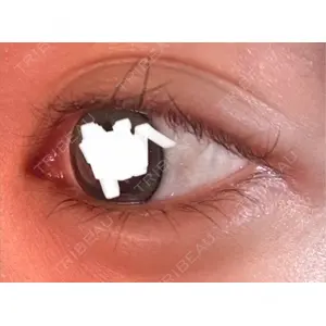 フィラークリニック フィラークリニック 名古屋栄院口コミ