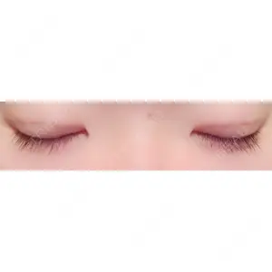 口コミ