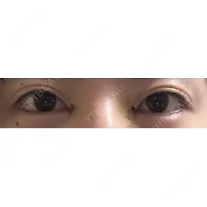 口コミ