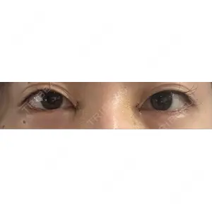口コミ