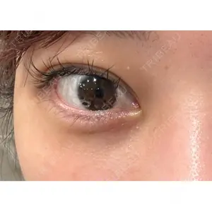 口コミ