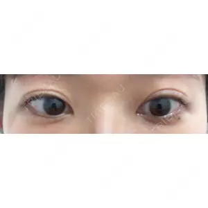 口コミ
