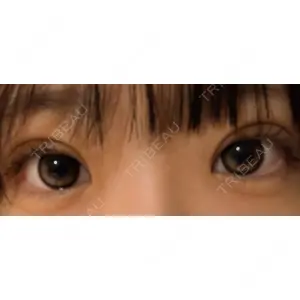 口コミ