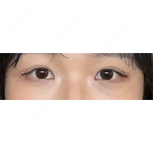 口コミ