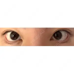 口コミ