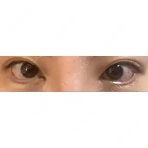 口コミ