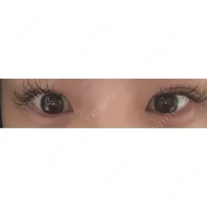 口コミ