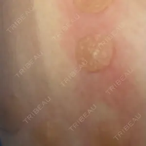 Fellez Clinic【フェルズクリニック】口コミ