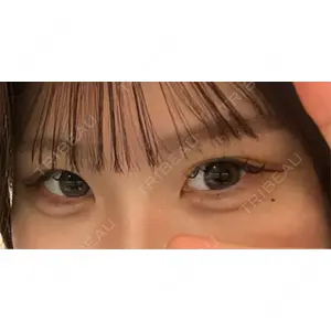 口コミ