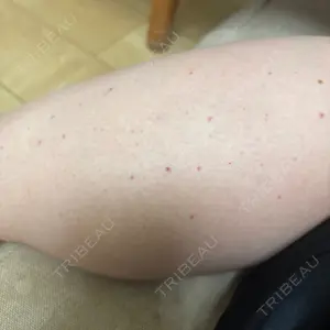口コミ