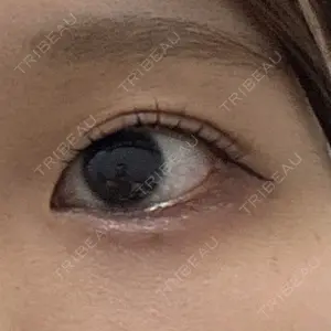 口コミ