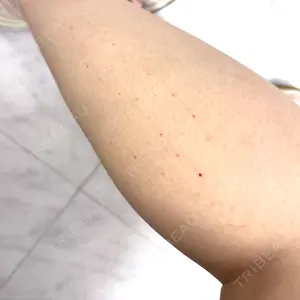 口コミ