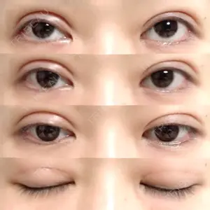 口コミ