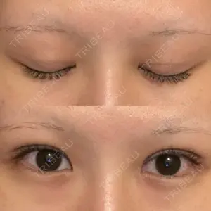 口コミ