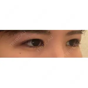 口コミ