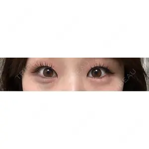 口コミ