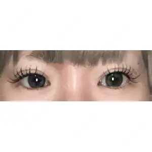 口コミ