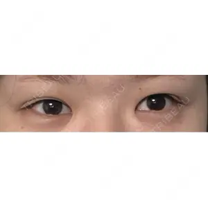 口コミ