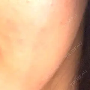 口コミ