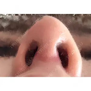 口コミ