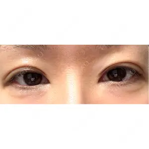 口コミ