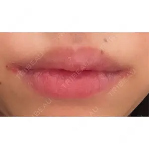 口コミ