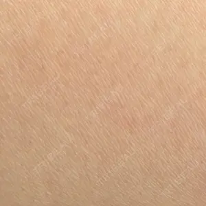 口コミ