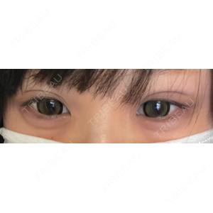 口コミ