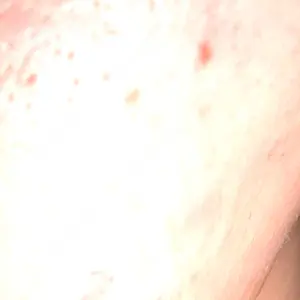口コミ