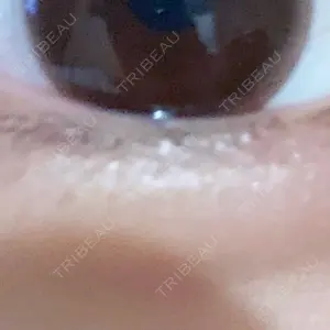口コミ