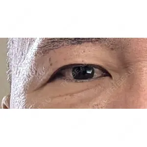 口コミ