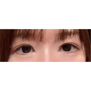 口コミ