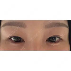 口コミ